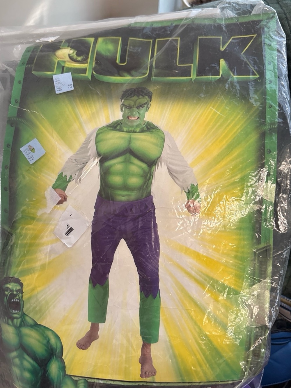 Marvel Hulk mens Costume - Green and Purple